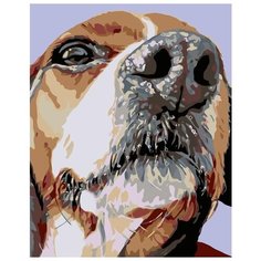 Картина по номерам Живопись по Номерам "Спотти", 40x50 см