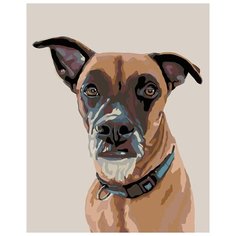 Картина по номерам Живопись по Номерам "Рокки", 40x50 см