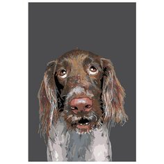 Картина по номерам Живопись по Номерам "Роузи", 40x60 см