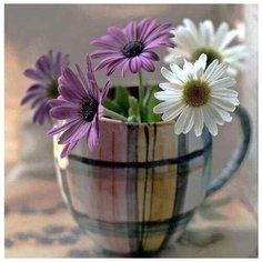 Алмазная вышивка Яркие Грани "Ромашки в чашке", 50x50