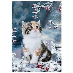 Алмазная мозаика "Пушистое счастье", 30x40 см Алмазное хобби