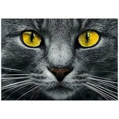 Алмазная мозаика "Жёлтые глаза", 19x27 см Гранни