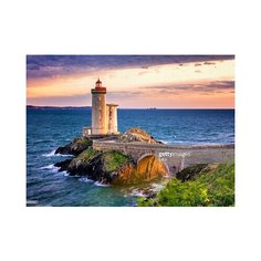 Алмазная мозаика "На краю света" Рыжий кот