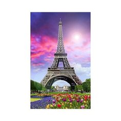 Алмазная мозаика "Символ Парижа" Рыжий кот