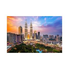 Алмазная мозаика "Башни Петронас" Рыжий кот