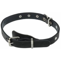 Ошейник Аркон Стандарт (о20) 32-44 см черный