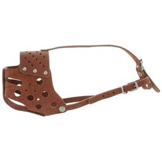 Намордник для собак Аркон Стандарт (н34с) коньячный