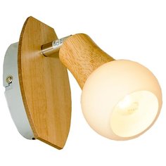 Спот Lussole (серия: LSP-0119) LSP-0119 1x40Вт E14