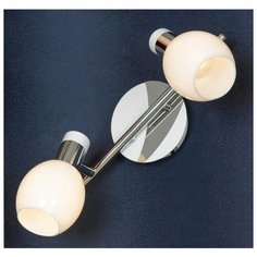 Спот Lussole (серия: LSX-5001) LSX-5001-02 2x40Вт E14