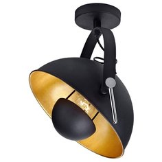 Спот Lussole (серия: LSP-9825) LSP-9825 1x60Вт E27