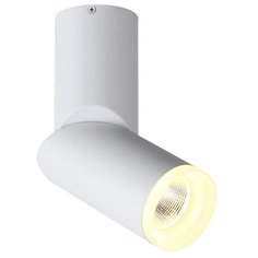 Спот St luce TORTELLE ST107.502.10