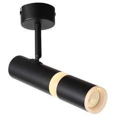 Спот St luce ESCOPIO ST106.402.08