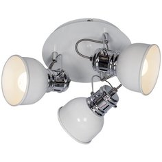 Спот Lussole Lgo GRLSP-9956