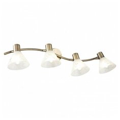 Спот Freya Paola FR7001WL-04BZ