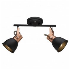 Спот Arte Lamp 1677 A1677PL-2BK