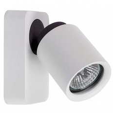 Спот MW-Light Астор 545020401