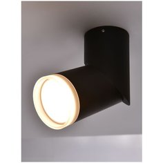 Спот Arte Perfetto Luce A51742