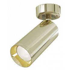 Спот Maytoni, 1х50W, золото, размеры (мм)-65x195, плафон - золото