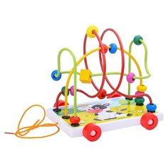 Лабиринт-каталка Щепочка вид 2 (D0044-2/2245-6)