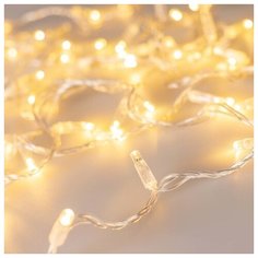 Светодиодная гирлянда ARD-STRING-CLASSIC-10000-CLEAR-100LED-FLASH Warm/Warm (230V, 7W) (ARDCL, IP65) Arlight