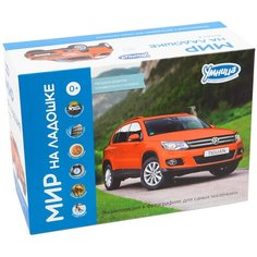 Набор карточек Умница Мир на ладошке. Выпуск 4 18x10 см 144 шт.