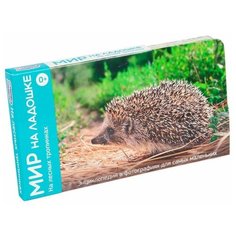 Набор карточек Умница Мир на ладошке. На лесных тропинках 18x10 см 24 шт.