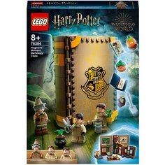 Конструктор LEGO Harry Potter 76384 Учёба в Хогвартсе: Урок травологии