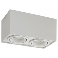 Спот DENKIRS DK2004-WH