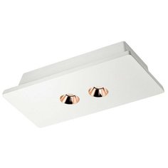 Спот LOFT IT Architect OL1072-WG/2