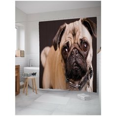 Штора для ванной JoyArty Доверчивый мопс 180х200 (sc-6551)