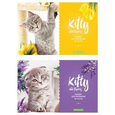 Альбом для рисования ArtSpace "Kitty & Flower", 40 л., 5 шт./2 дизайна в упаковке