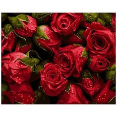 Картина по номерам Paintboy "Освежающие капли на розах", 40x50 см