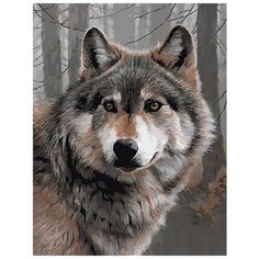 Картина по номерам Paintboy "Одинокий волк", 40x50 см