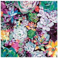 Картина по номерам Живопись по Номерам "Сад суккулентов", 40x40 см