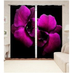 Фотошторы "Бархатный цветок" 145*260 2 шт. Блэкаут Сирень