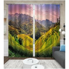 Фотошторы "Чайные поля" 150*260 2 шт. Шелковистые Сирень