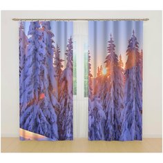 Фотошторы 18586, 145*260 см, 2 шт. Сирень