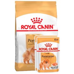Сухой корм для собак Royal Canin породы померанский шпиц 1.5 кг + 2 пауча 85 г в подарок