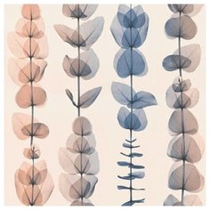 Обои A.S. Creation X-Ray 34246-5 , винил на флизелине 10,5 х 0,53 м