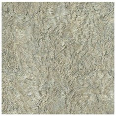 Обои Roberto Cavalli №5 16048 , винил на флизелине, 10,05 х 0,70 м