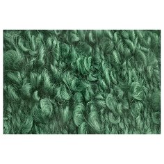 Пряжа для вязания ПЕХ Буклированная (30% мохер, 20% тонкая шерсть, 50% акрил) 5х200г/220м цв.117 киви Пехорка