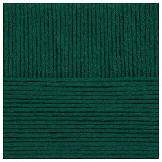 Пряжа для вязания ПЕХ Молодёжная (91% акрил высокообъемный, 9% полиамид) 5х200г/280м цв.573 т.изумруд Пехорка