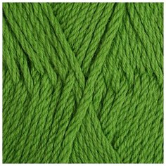 Пряжа для вязания ПЕХ Пехорская шапка (85% мериносовая шерсть, 15% акрил высокообъемный) 5х100г/200м цв.434 зеленый Пехорка