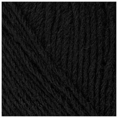 Пряжа для вязания ПЕХ Детский каприз трикотажный (50% мериносовая шерсть, 50% фибра) 5х50г/400м цв.002 черный Пехорка