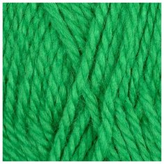 Пряжа для вязания КАМТ Гармония (50% импортная п/т шерсть, 50% акрил) 5х100г/245м цв.044 трава Камтекс