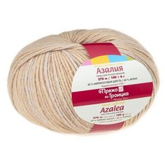 Пряжа для вязания ТРО Азалия (40% шерсть, 60% акрил) 10х100г/270м цв.5002 мулине Троицкая камвольная фабрика