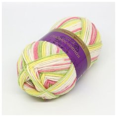 Пряжа для вязания ТРО Подмосковная GOLD (50% шерсть, 50% акрил) 5х100г/250м цв.7358 принт Троицкая камвольная фабрика