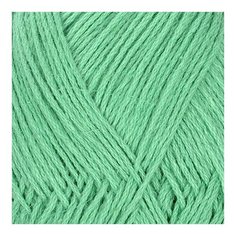 Пряжа для вязания КАМТ Ананасовая (55% ананасовое волокно, 45% хлопок) 5х100г/250м цв.020 эвкалипт Камтекс