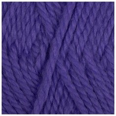 Пряжа для вязания КАМТ Гармония (50% импортная п/т шерсть, 50% акрил) 5х100г/245м цв.276 колокольчик Камтекс