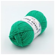Пряжа для вязания ТРО LANA GRACE Medio (25% мериносовая шерсть, 75% акрил супер софт) 5х100г/170м цв.0723 яр.зелень Троицкая камвольная фабрика